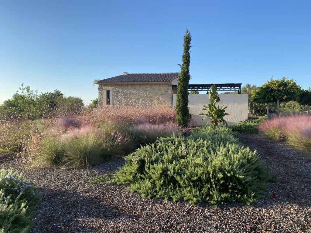Jardín de finca en Mallorca con romero, gramíneas ornamentales y un ciprés ante una casa de piedra