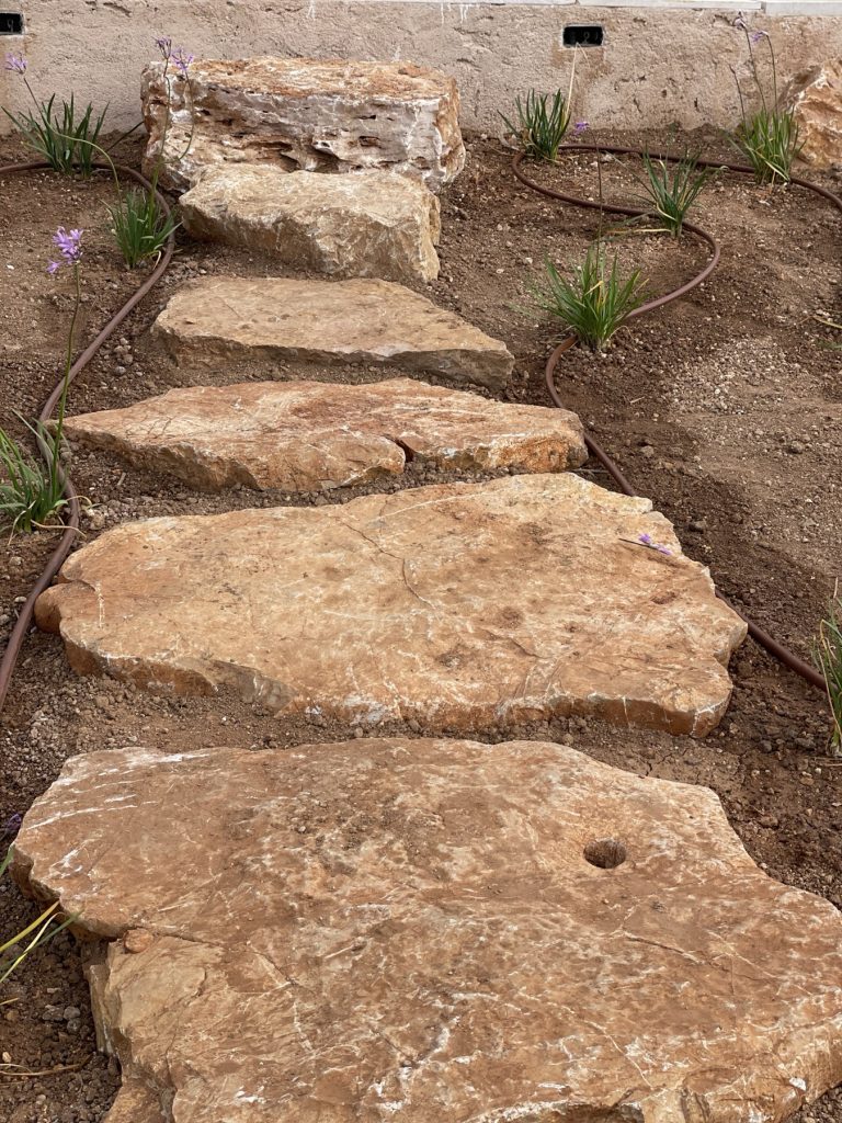 Steps of solid natural stone cut into a slope in a Mallorcan garden, with drip irrigation along the planting