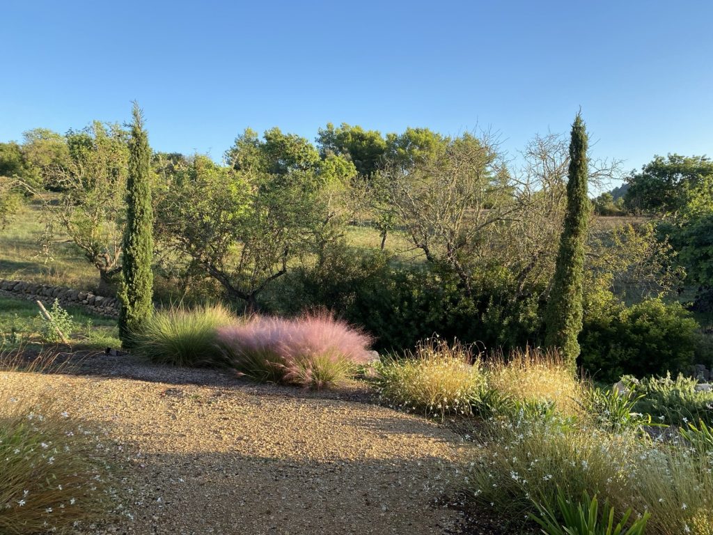 Jardín sin césped en Mallorca con gramíneas, cipreses y grava a la luz del atardecer
