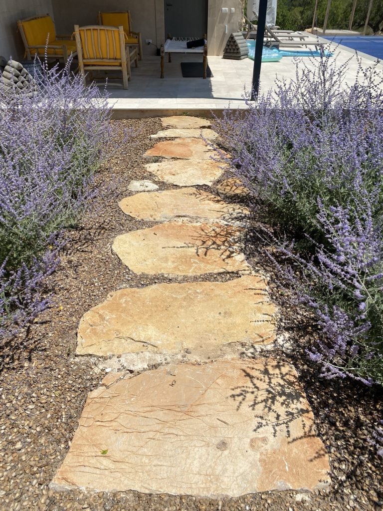 Natural stone path through flowering perovskia leading to the terrace and pool of a villa garden in Mallorca